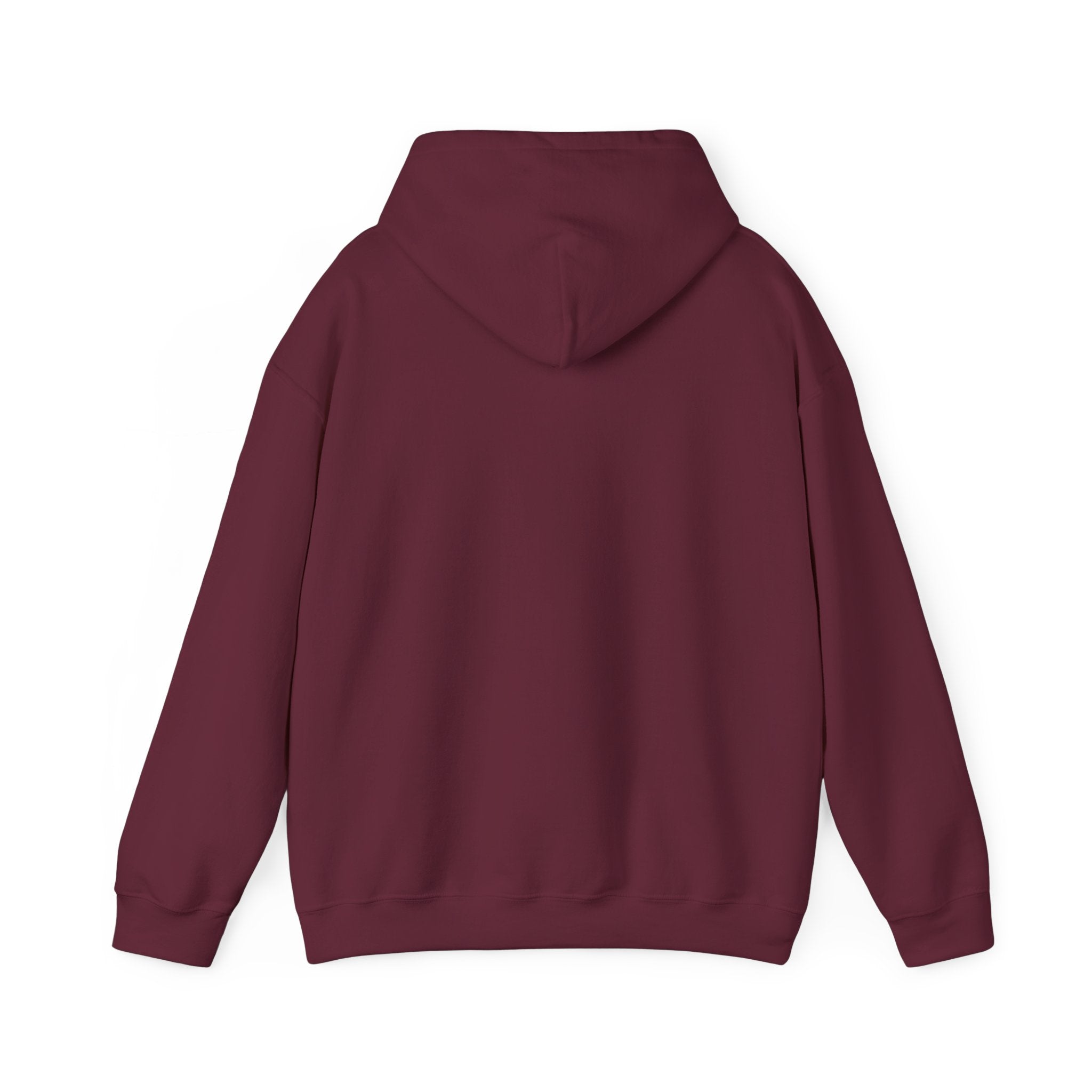 STEAM Team Hoodie - Science Sweatshirt