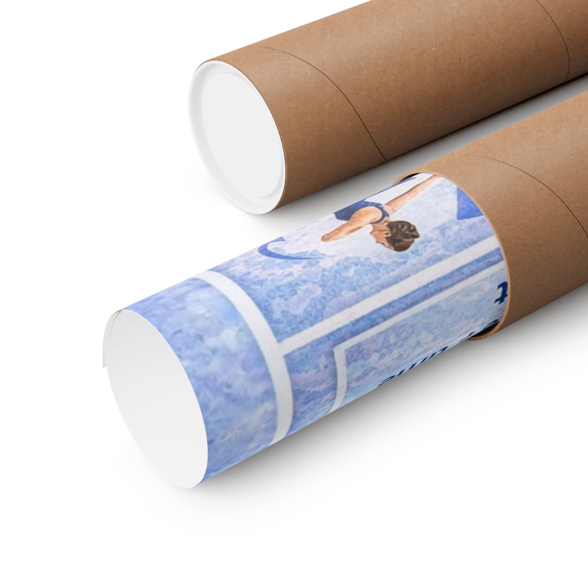 The Science of the Winter Olympics Poster — Motion & Energy Educational Classroom Poster
