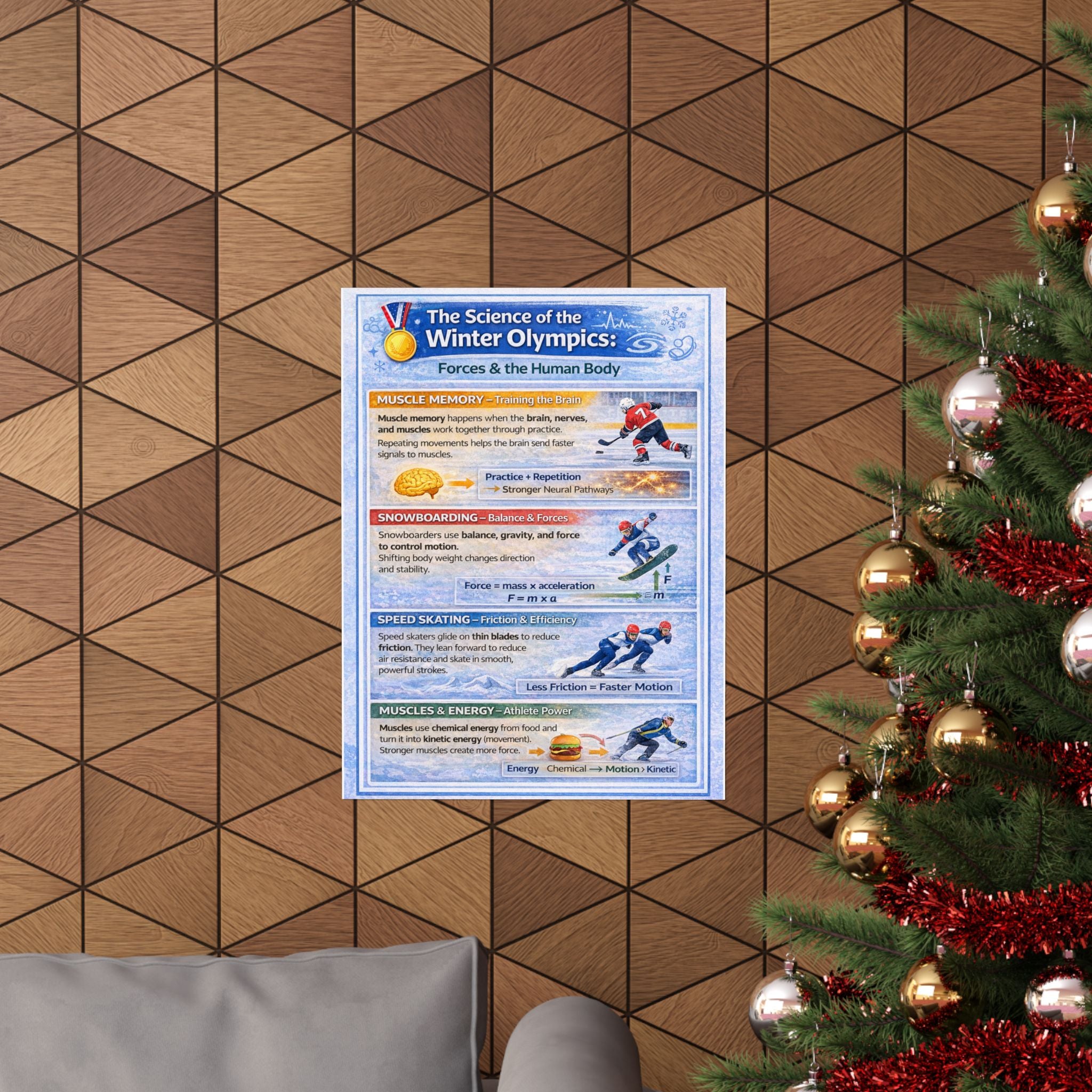 Science of the Winter Olympics Poster — Forces & Human Body Classroom Poster