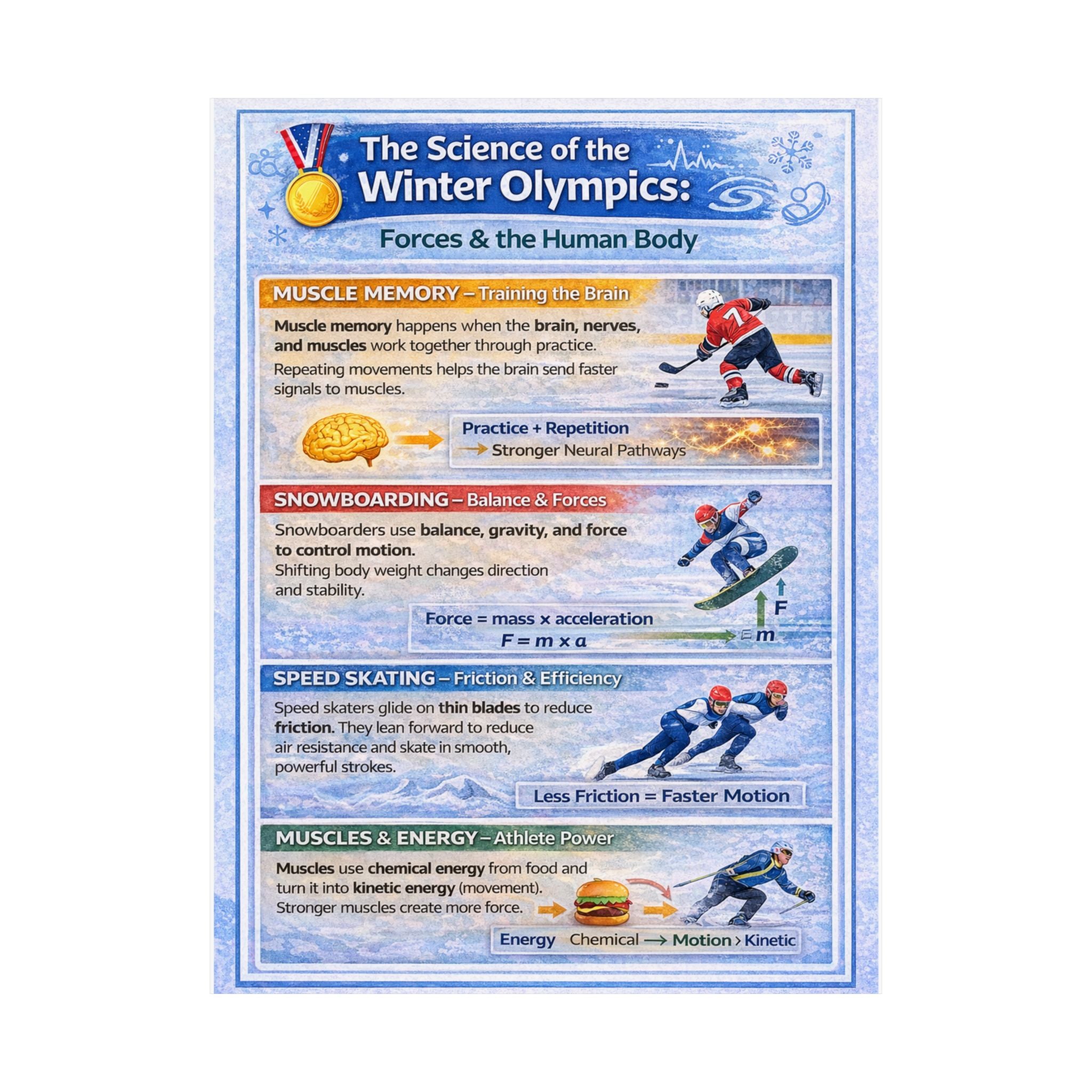 Science of the Winter Olympics Poster — Forces & Human Body Classroom Poster