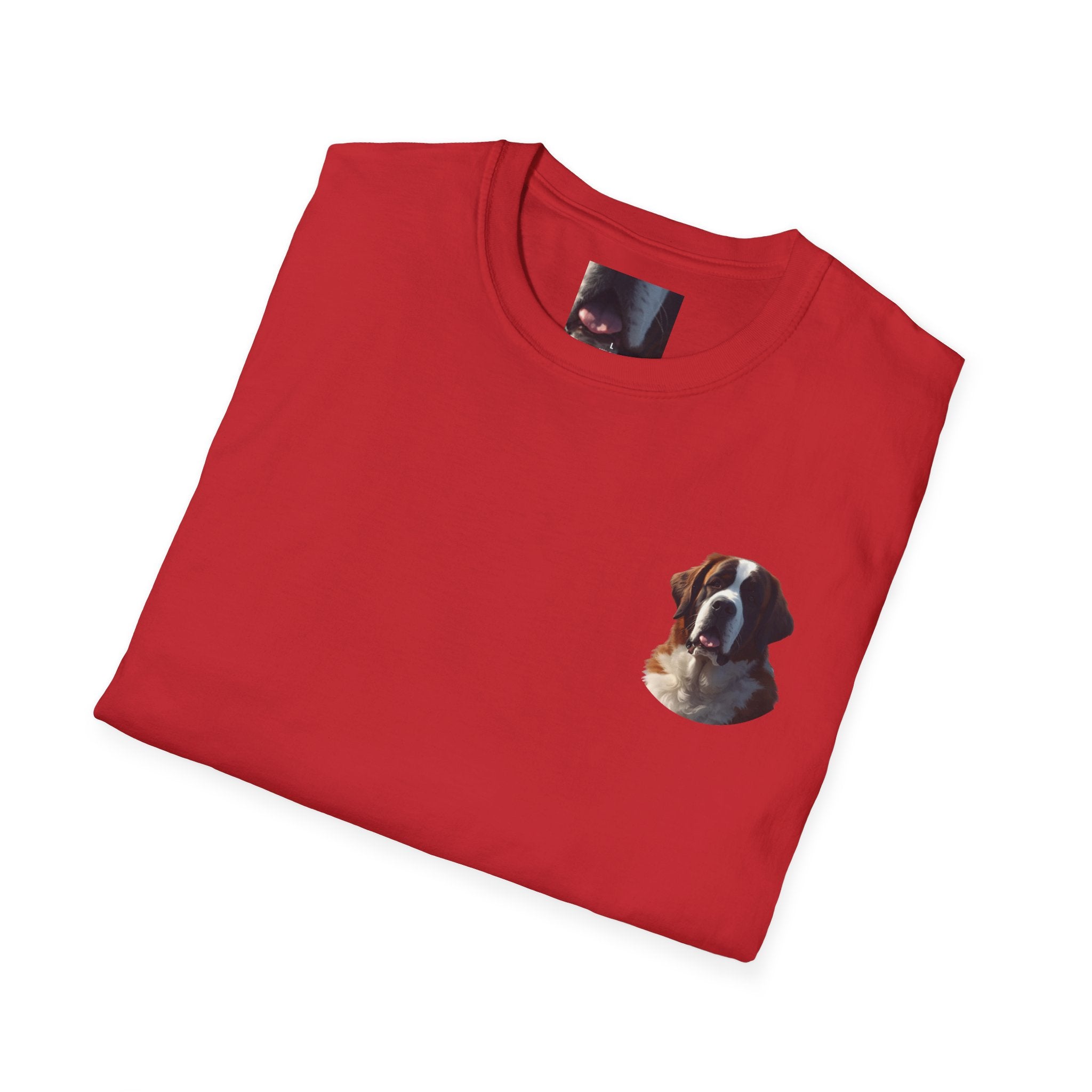 Faith Family and A Saint Bernard T-Shirt | Saint Bernard Dog Shirt