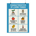 Characteristics of Living Things Educational Poster — Science Classroom Chart
