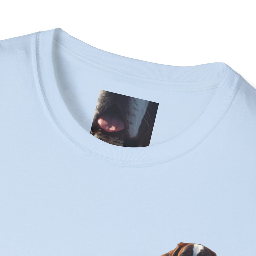 Faith Family and A Saint Bernard T-Shirt | Saint Bernard Dog Shirt