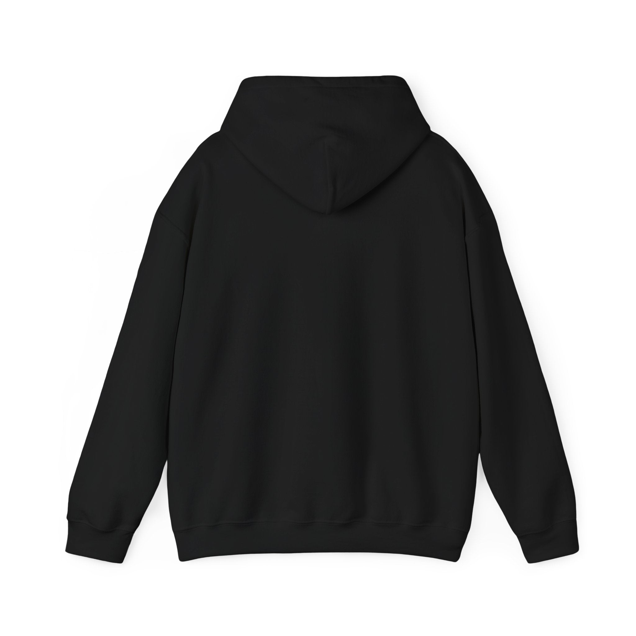 STEAM Team Hoodie - Science Sweatshirt