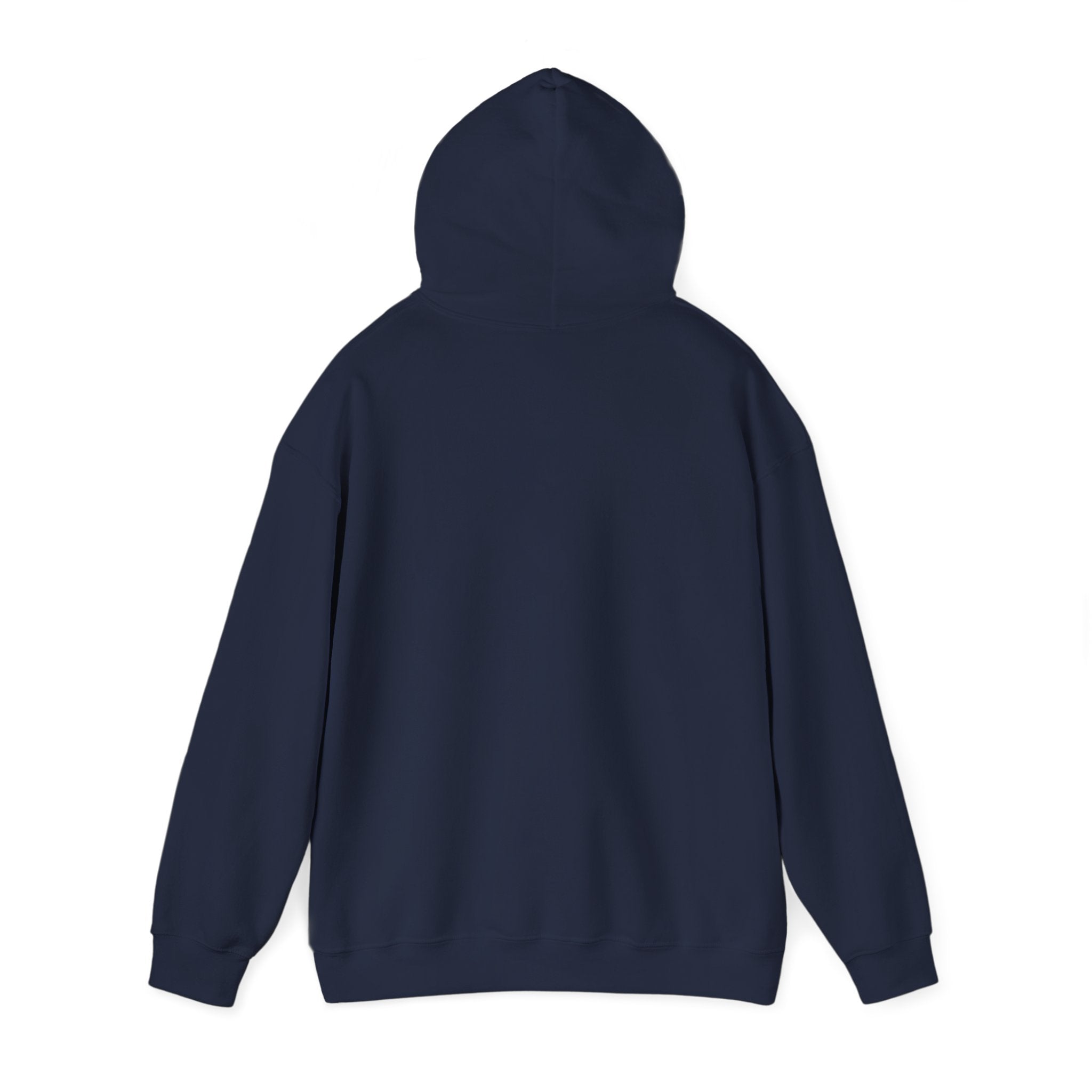 STEAM Team Hoodie - Science Sweatshirt